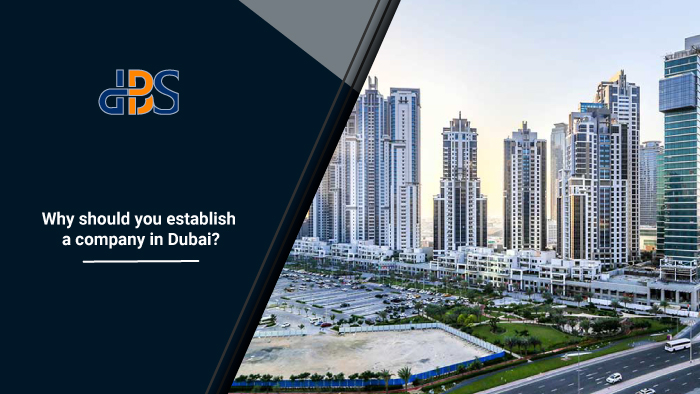 Why should you establish a company in Dubai? 1