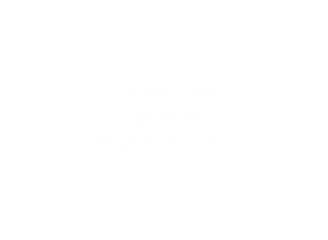 DBS 01