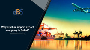 Why-start-import-export-company-in-Dubai-1