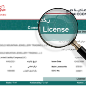 Need to Add Activities to Your UAE Trade License? Here's Your Guide